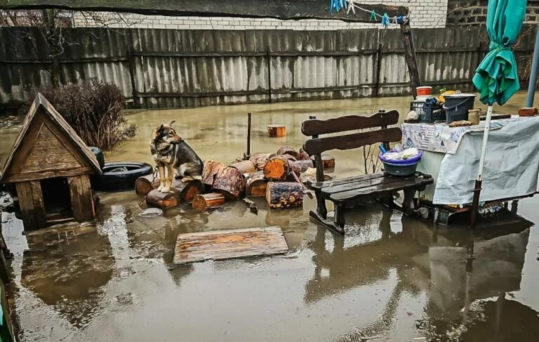 На Харківщині ліквідовують наслідки підтоплень після сходження талої води