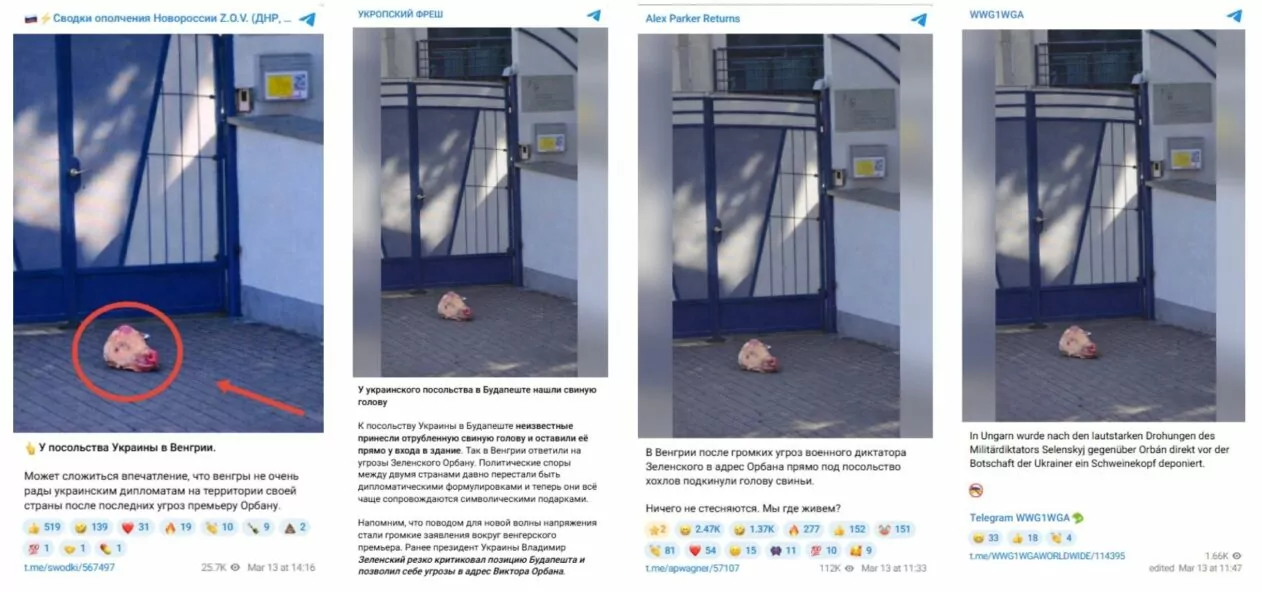 зображення до посту: Фейк. До українського посольства у Будапешті принесли свинячу голову