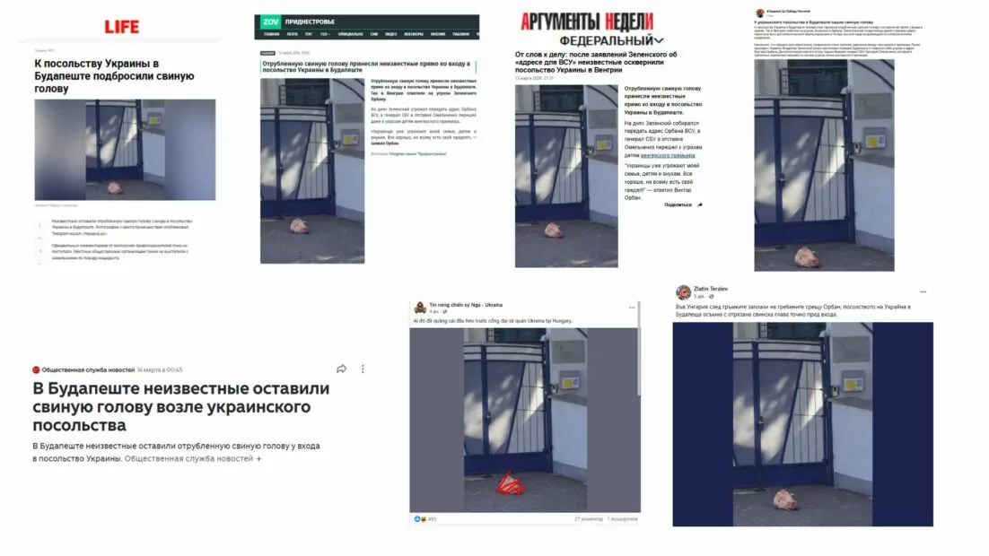 зображення до посту: Фейк. До українського посольства у Будапешті принесли свинячу голову