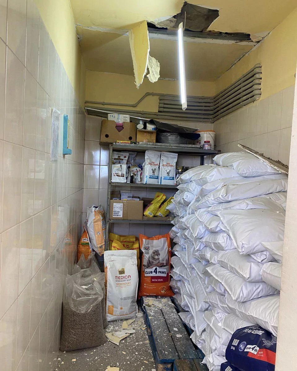 Damaged room with pet food in animal shelter after Russian attack