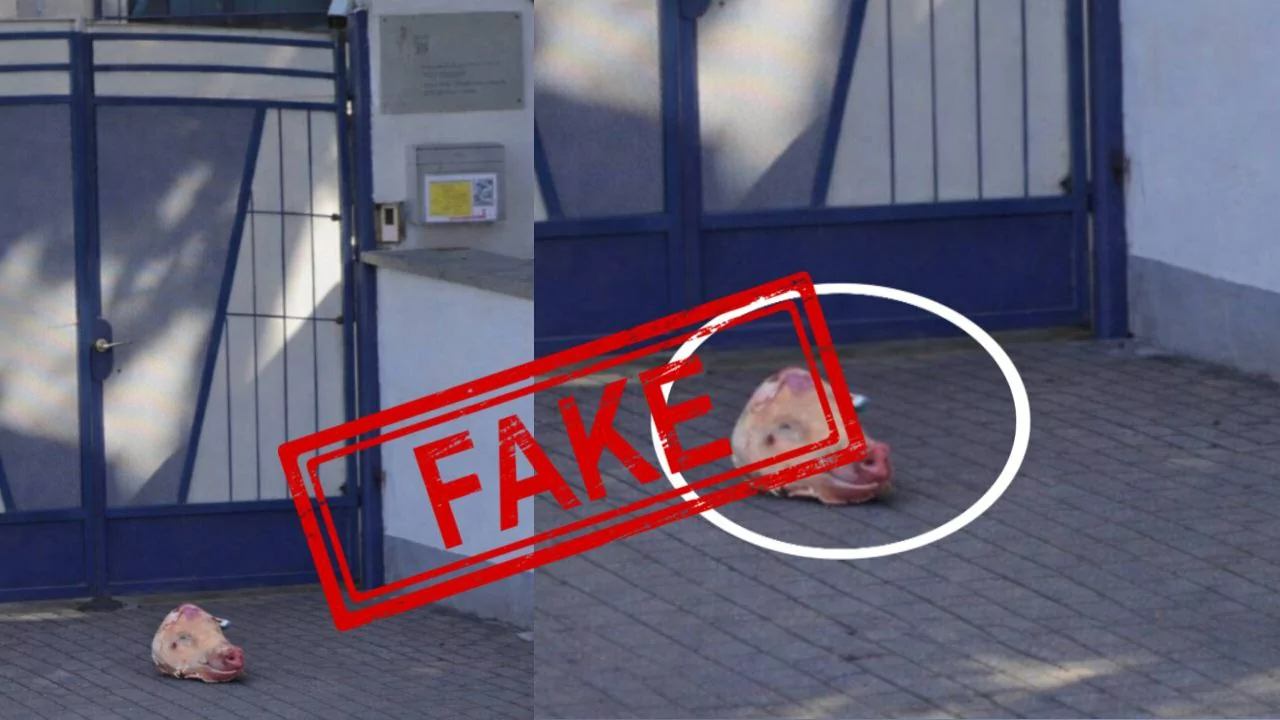 Фейк про свинячу голову біля посольства України в Будапешті