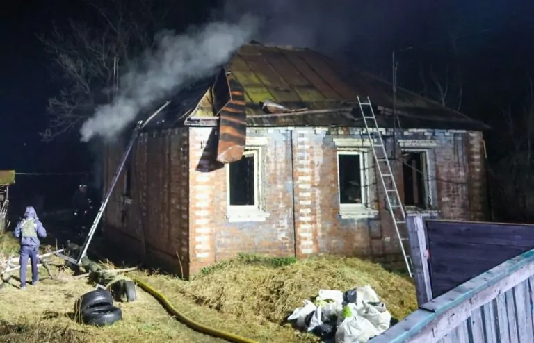 Двоє людей загинули під час пожежі у Пісочині