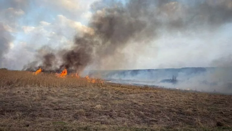 Через пожежу в екосистемі на Харківщині постраждала жінка