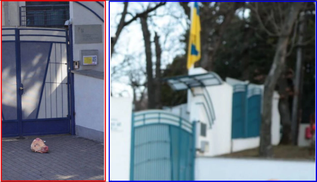 зображення до посту: Фейк. До українського посольства у Будапешті принесли свинячу голову