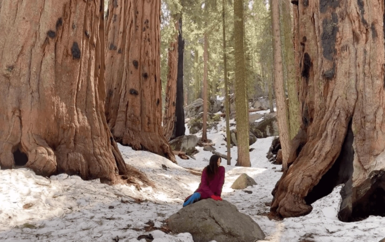 Oscar-winning director Chloé Zhao raises money for Animal Rescue Kharkiv volunteers 