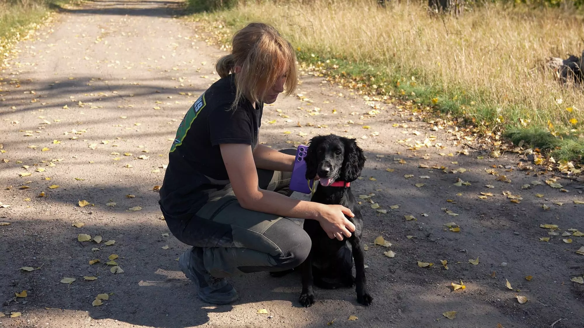 зображення до посту: How Kharkiv search and rescue dogs and their K9 handlers train for work at impact sites of Russian attacks