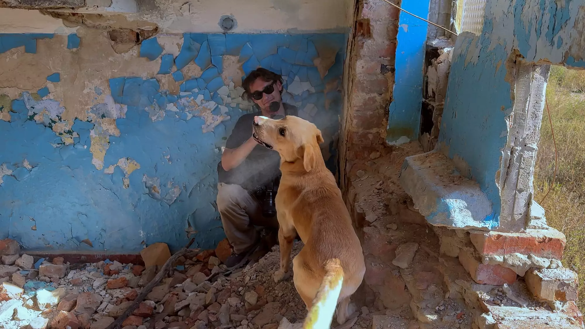 зображення до посту: How Kharkiv search and rescue dogs and their K9 handlers train for work at impact sites of Russian attacks