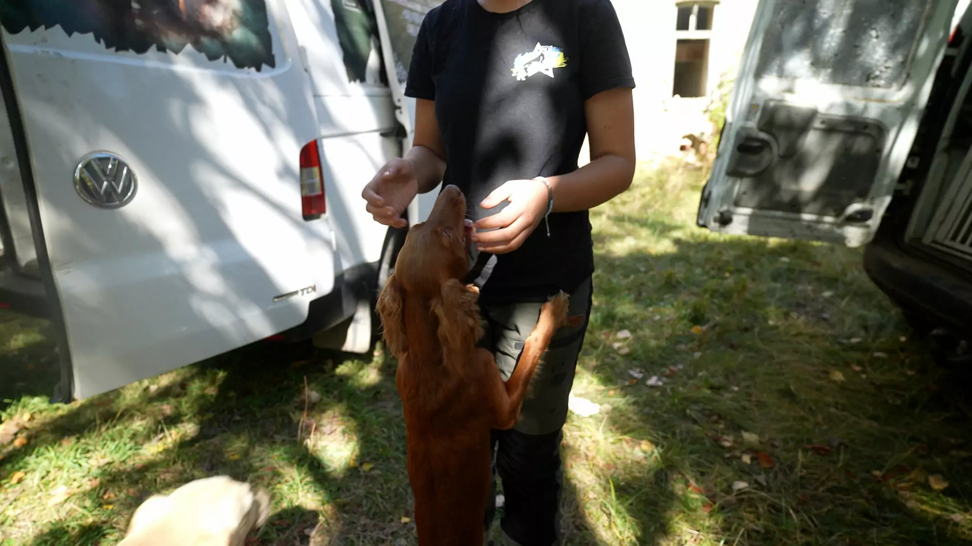 зображення до посту: How Kharkiv search and rescue dogs and their K9 handlers train for work at impact sites of Russian attacks