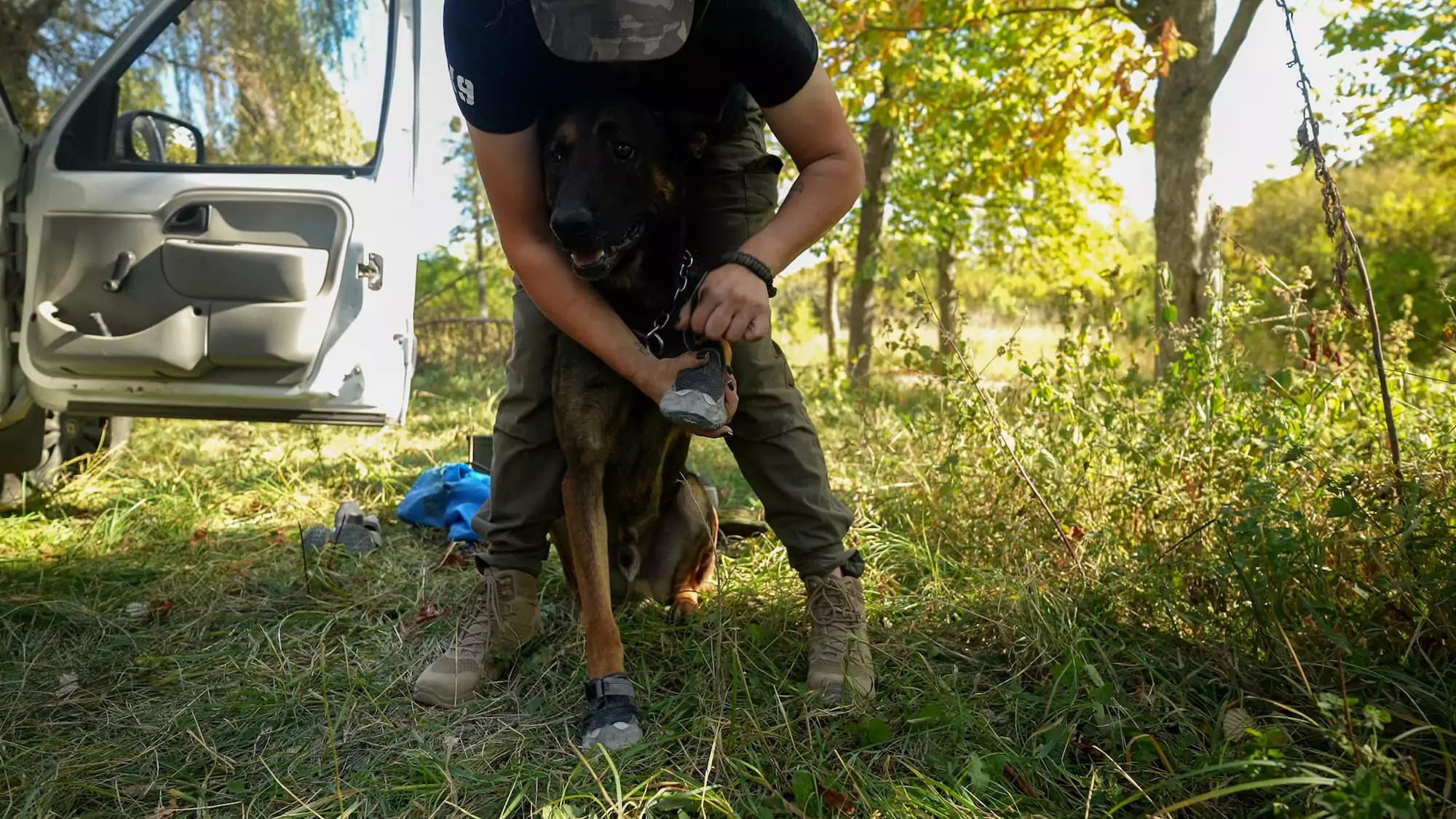 зображення до посту: How Kharkiv search and rescue dogs and their K9 handlers train for work at impact sites of Russian attacks