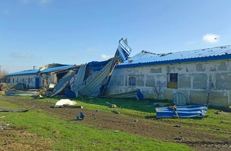 Російський безпілотник влучив у фермерське господарство на Харківщині: загинули птахи