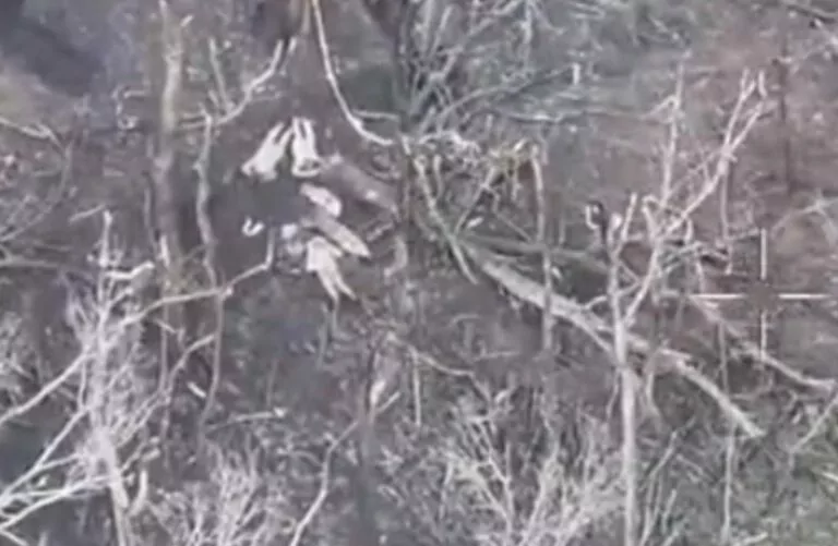 Росіяни планували заявити, що розстріл полонених біля Ветеринарного інсценували українці — військовий