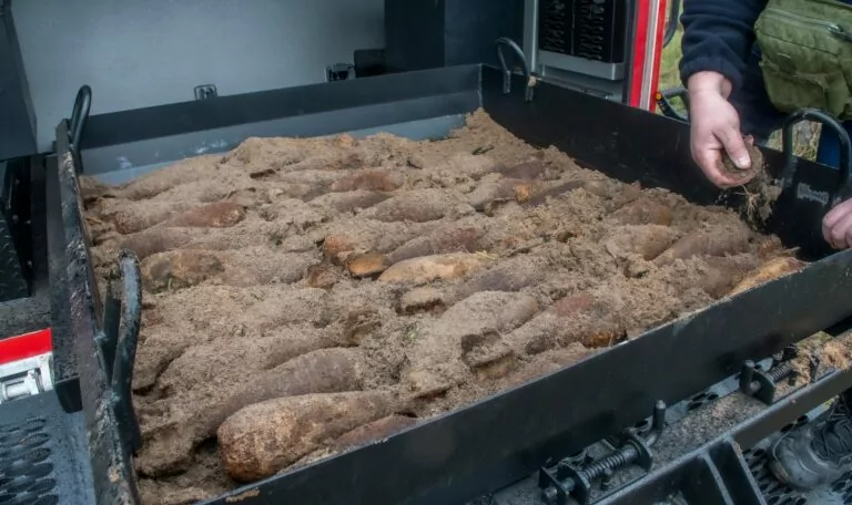 На Харківщині сапери вилучили боєприпаси часів Другої світової війни