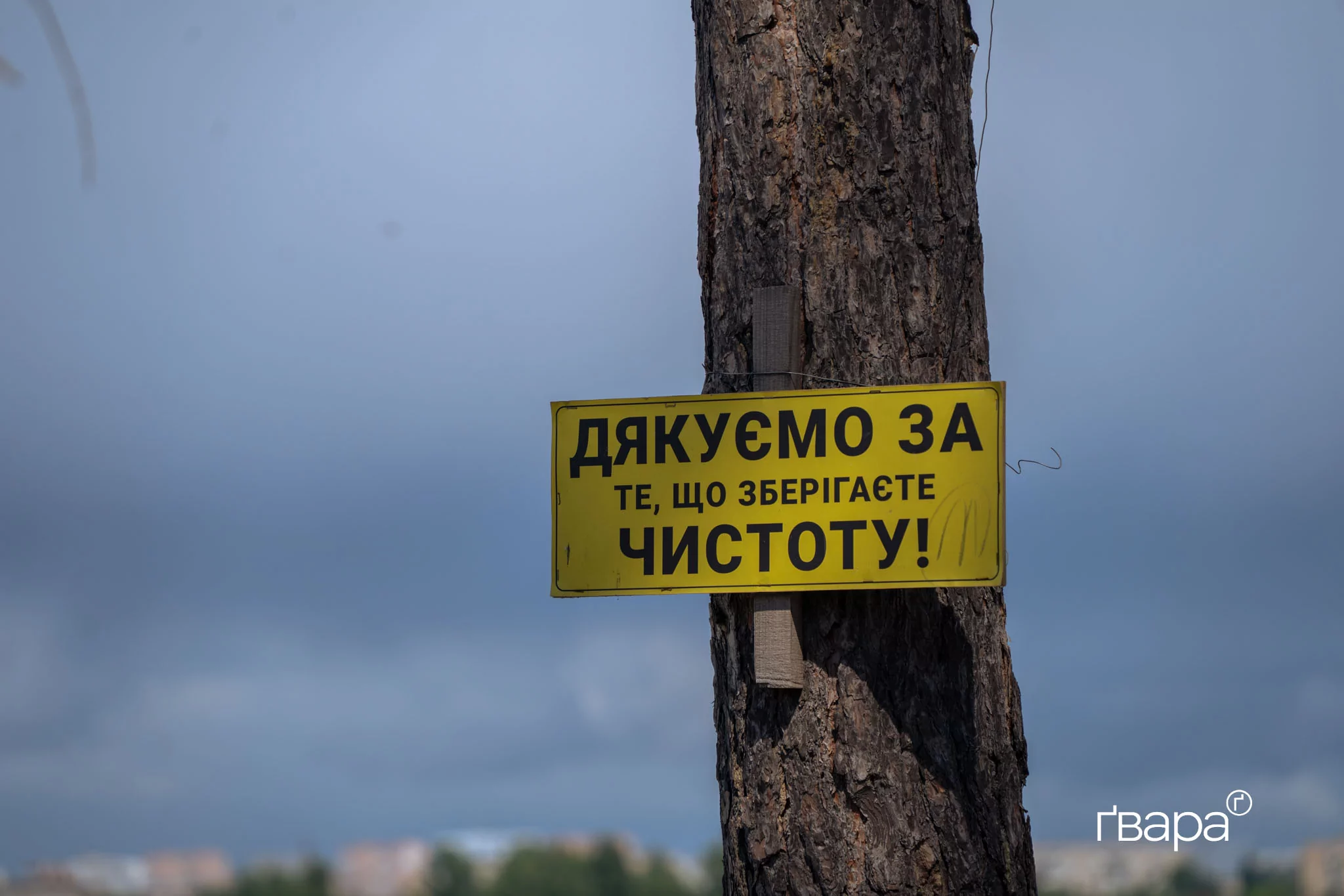 зображення до посту: В Основ&rsquo;янському лісі в Харкові активісти провели толоку &mdash; фото