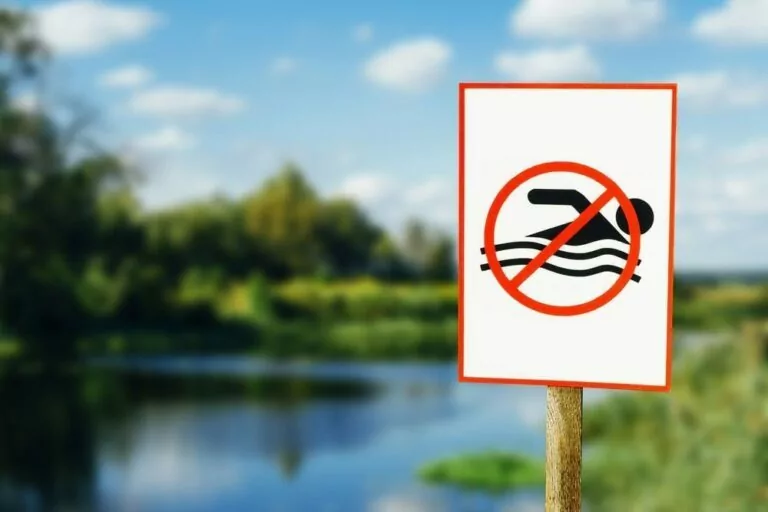 У громаді на Харківщині заборонили купатися через ризик боєприпасів у водоймах