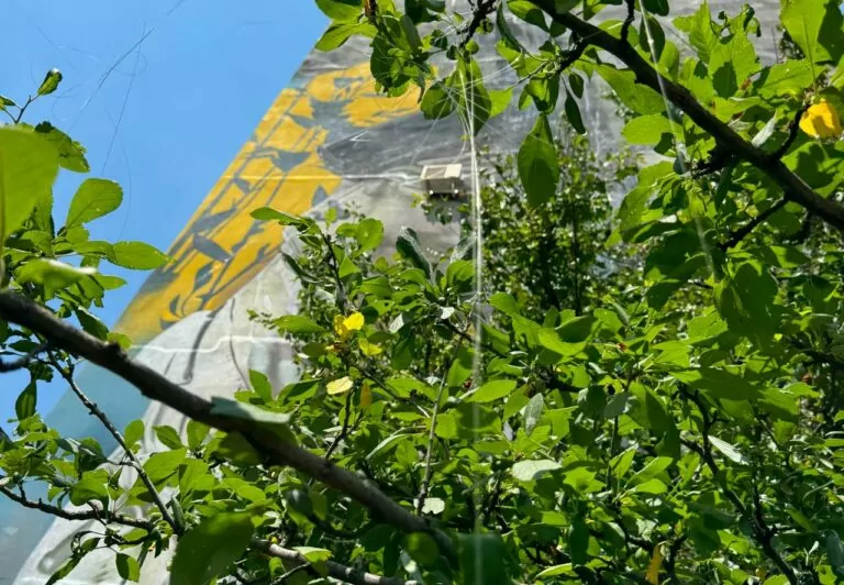 FPV-дрон на оптоволокні влучив у будинок у Харкові