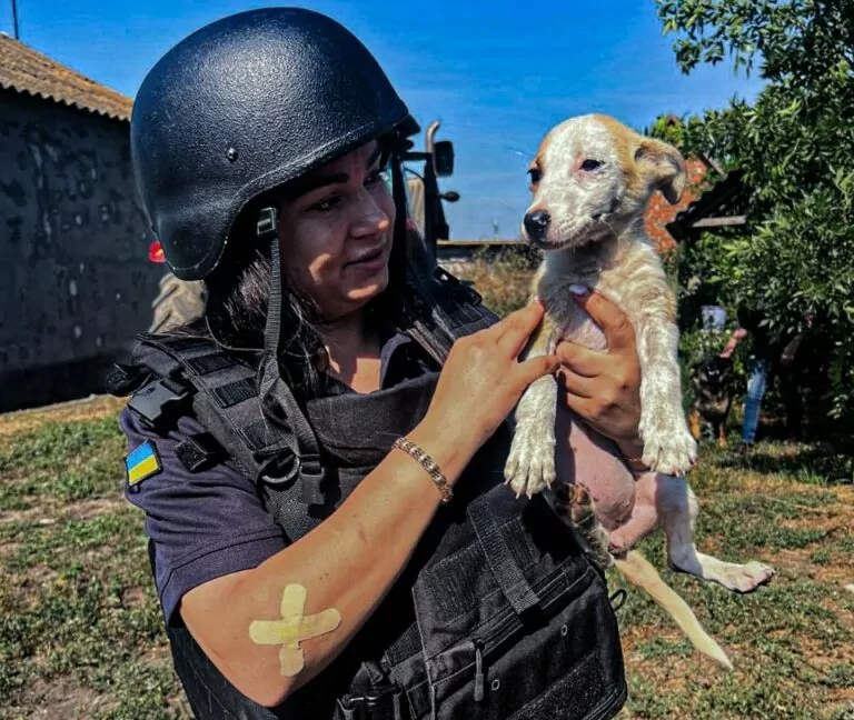ДСНС евакуювала жінку з прифронтової Гетьманівки на Харківщині