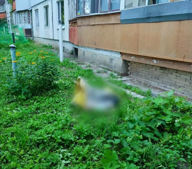 У Харкові з вікна п’ятого поверху випала трирічна дитина