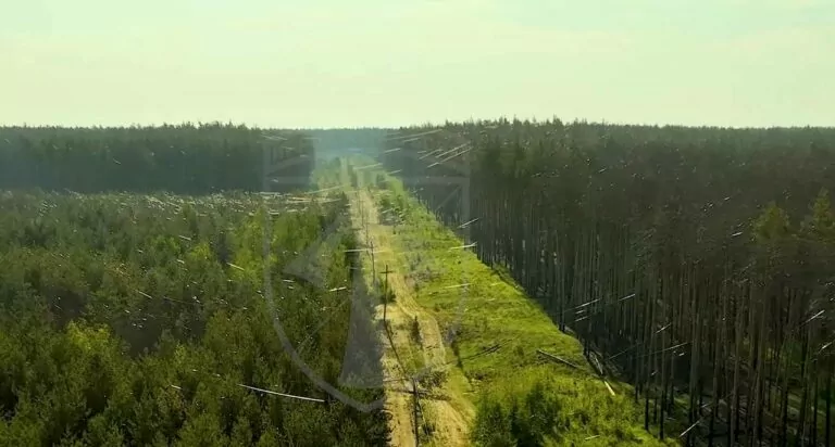 Оптоволокно від російських дронів загрожує лісам Вовчанської громади