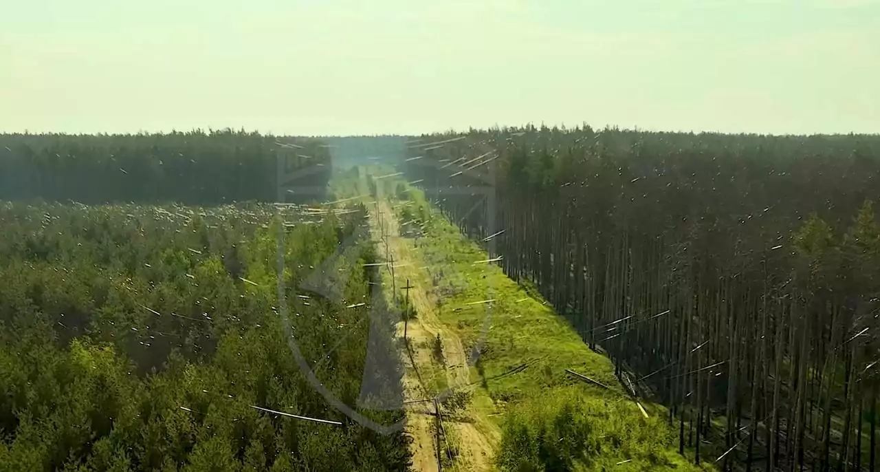 оптоволокно у лісах