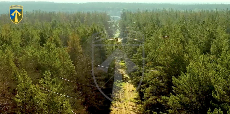 Fiber-optic cables of Russian FPV drones threaten forests in Kharkiv oblast