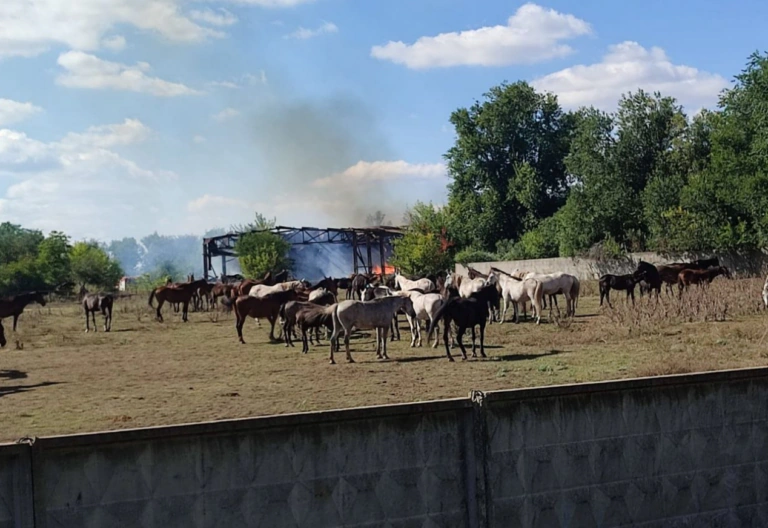 У Лозівській громаді внаслідок російського обстрілу знищено сотні тонн агропродукції