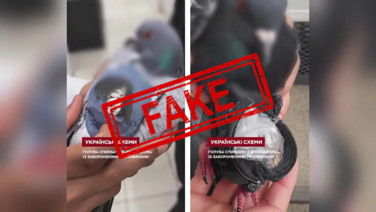 Фейк. Українські митники перехопили «голуба-контрабандиста»