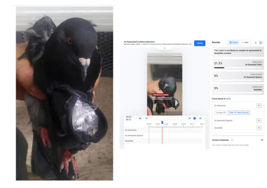 Результат перевірки відео через Hive AI Detector